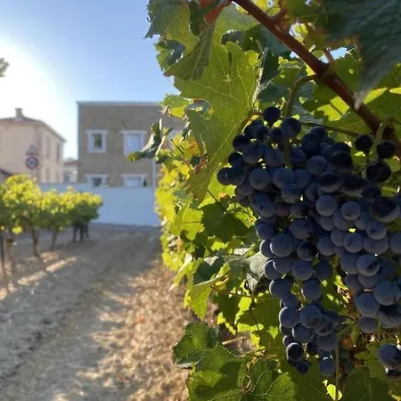 Sainte-agathe Nyaraló